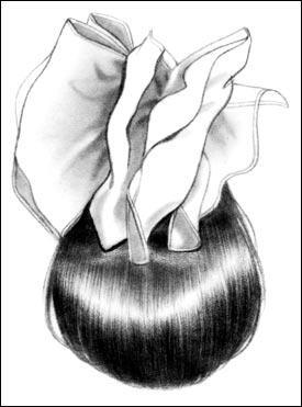 Style 235 / PAGE BOY CHIGNON FOR THE NAPE by Look of Love