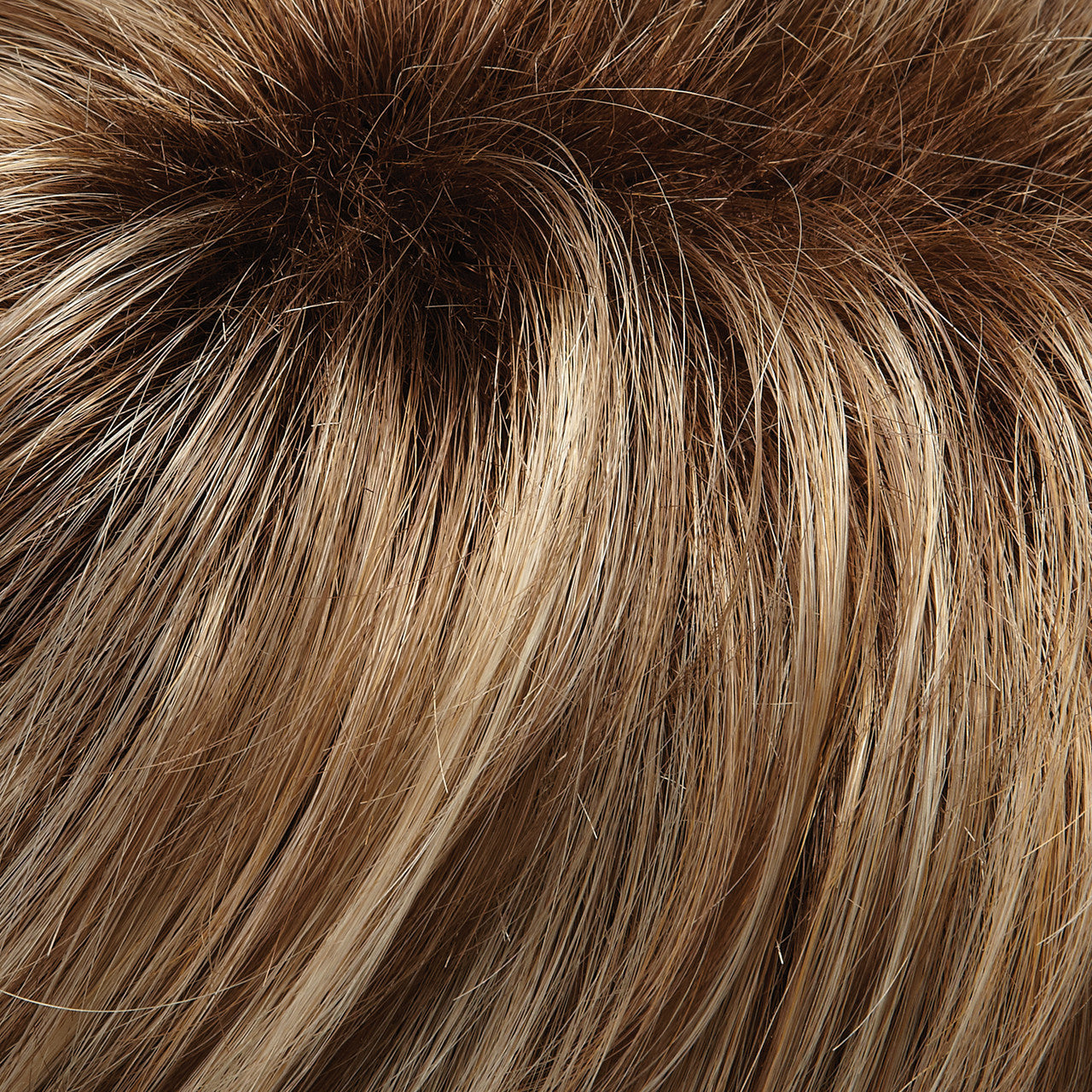 5155 Amber a Lace Front Mono Crown Large Cap Wig by Jon Renau