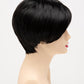 AMY | Lace Front Monofilament Part Synthetic Wig | Envy Alan Eaton - Buy Wigs USA