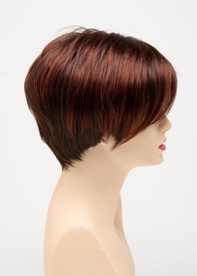 AMY | Lace Front Monofilament Part Synthetic Wig | Envy Alan Eaton - Buy Wigs USA