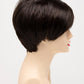 AMY | Lace Front Monofilament Part Synthetic Wig | Envy Alan Eaton - Buy Wigs USA