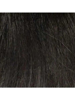 Jeannie - Lace Front Mono Top Synthetic Wig by Envy - Buy Wigs USA
