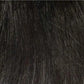 CELESTE | Large Cap | Monofilament Top | Synthetic Wig | Envy | Alan Eaton - Buy Wigs USA