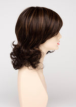 Danielle - EnvyHair Human Synthetic Blend Mono Top Lace Front Wig by Envy - Buy Wigs USA