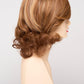 Danielle | Human Synthetic Blend | Mono Top | Lace Front | Synthetic Wig | Envy |Alan Eaton - Buy Wigs USA