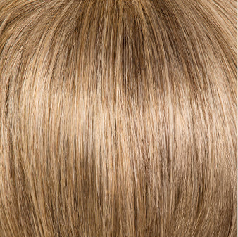 INCENTIVE PETITE Lace Front Handtied Top Wig by Gabor