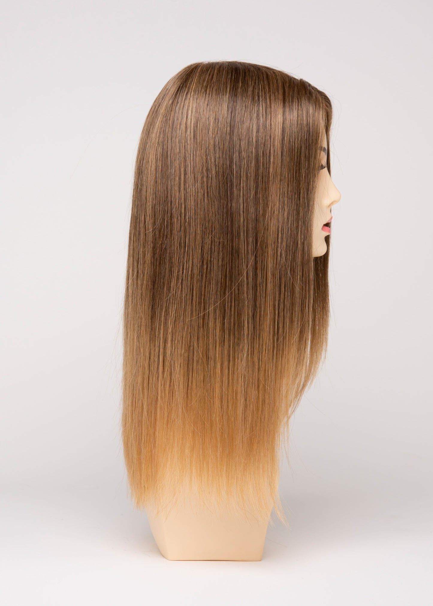 Veronica- EnvyHair Human / Synthetic Blend Mono Top lace front Wig by Envy