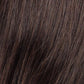 Attract | Lace Front Mono Top Human/Synthetic Hair Blended Wig | Ellen Wille Petite Average - Buy Wigs USA