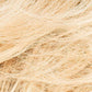 Brilliance Plus Wig by Ellen Wille | 100% Remy Human Hair, Hand-Tied, Lace Front - Buy Wigs USA