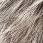 Coco | Hair Power | Synthetic Wig | Lace Front | Mono Crown | Ellen Wille - Buy Wigs USA