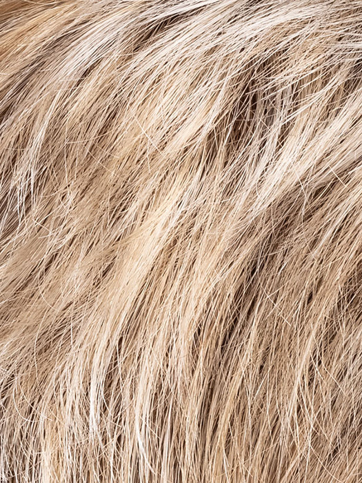 CHAMPAGNE ROOTED 23.24.16 | Lightest Pale Blonde and Lightest Ash Blonde with Medium Blonde Blend